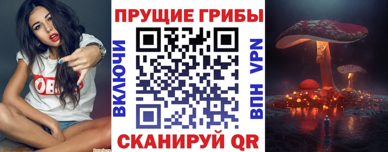 Галлюциногенные грибы Psilocybine cubensis купить Благовещенск
