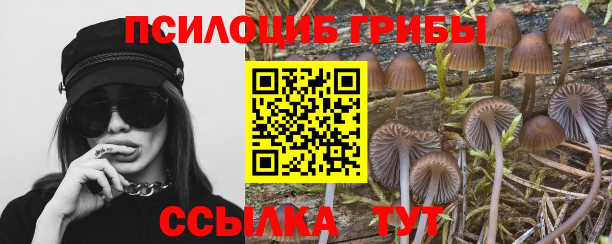 Галлюциногенные грибы Magic Shrooms  Вход с VPN  Галлюциногенные грибы прущие грибы  Благовещенск 